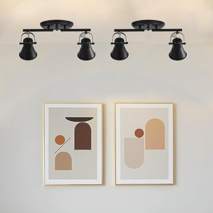 KEESFU 2-Light Track Lighting Kit,Black Semi Flush Mount Ceiling Light with 2 Rotatable Light Heads,Industrial Accent for Livingroom,Bathroom,Hallway,Art Wall,Bathroom,Kitchen.(2-Light)