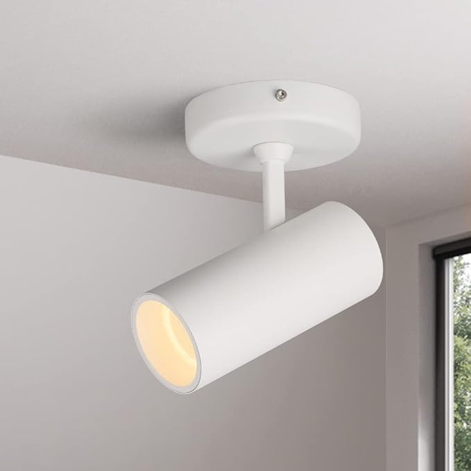 Aisilan 2 Pack 9W LED Modern Directional Dimmable Spot Light Indoor, Adjustable Angle Wired Ceiling Spotlight Lamp for Living Room, Painting, Artwork Accent Lighting - Warm Light 3000K, CRI 97