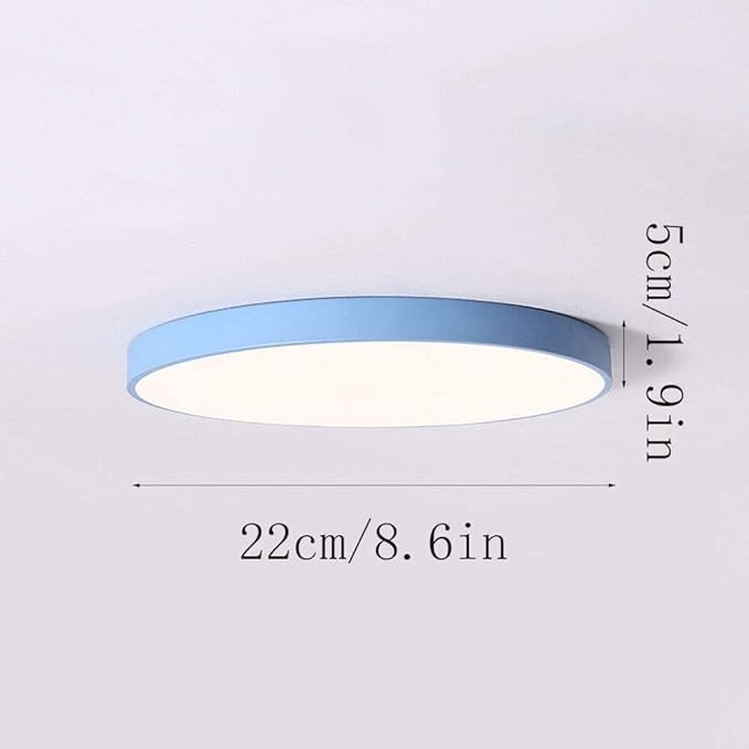 LED Flush Mount Ceiling Light Fixture Modern Minimalist Round Interior Lamp 6000-6500K Cold White Lighting Ultra-Thin 1.9 Inches Slim Suitable for Bedroom Loft Storage(White,Small)