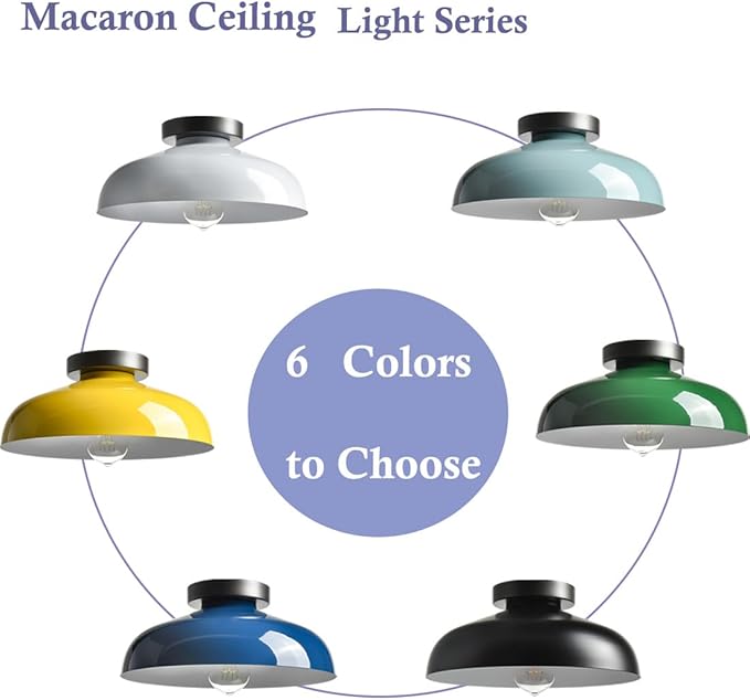 DIRYZON 12-Inch Industrial Ceiling Light Fixture,Black Bedroom Ceiling Light,Metal Ceiling Lighting for Hallway Kitchen