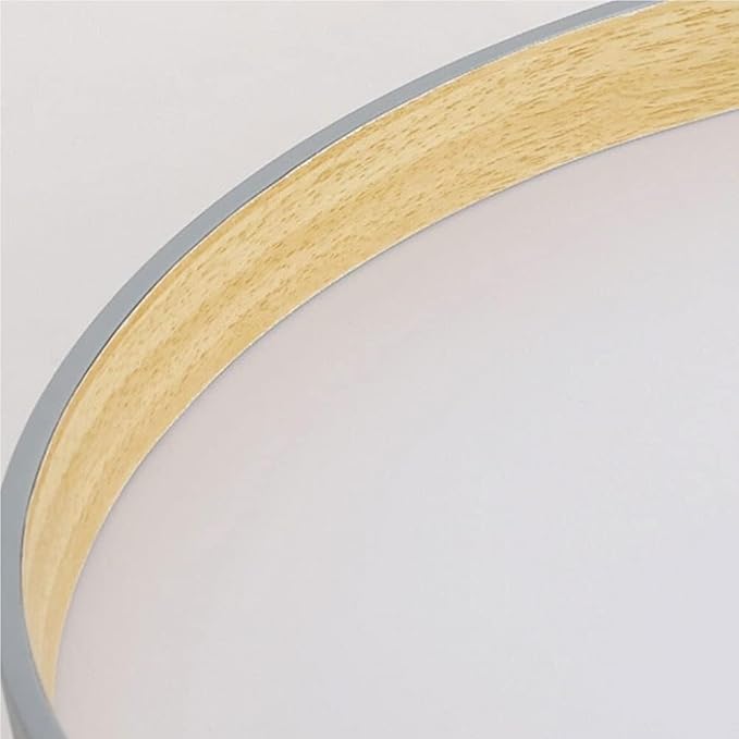 Modern Ultra Thin Round Ceiling Light Scandinavian Simple Ceiling Lamp Fixture for Stairwell Aisle Living Room Bedroom Dining Room Kitchen Study Corridor(Warm Light)