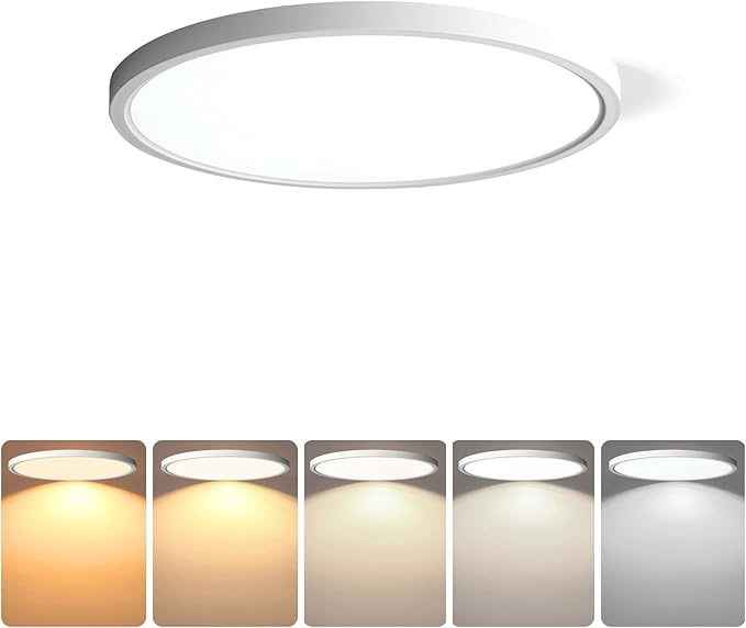 TALOYA 2 Pack of White 10 Inch Ceiling Mount LED Light Fixture, 5-in-1 CCT Selectable, 2000lw 20W Super Bright Round Ultra Slim Surface Mounted Lamp for Basement Foyer Hallway Kitchen