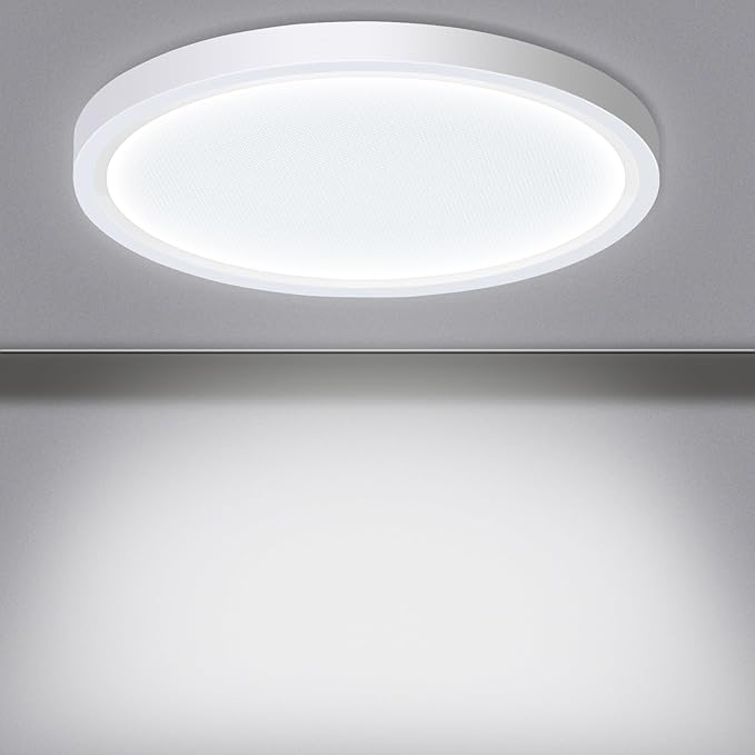 LED Flush Mount Ceiling Light Fixture, 24W 12Inch 3000K/3500K/4500K/5000K/6500K 5 Color Changeable 2880LM Low Profile Ceiling Light for Bedroom, Living Room, Dining Room, Hallway White