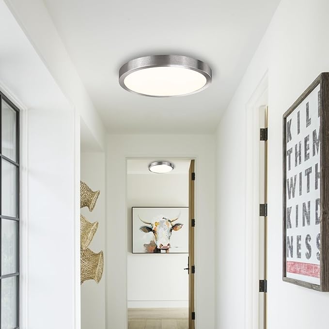 10 Inch Flush Mount Ceiling Light Fixture, Metal and Glass LED Ceiling Light Flush Mount, Slim Dimmable Flush Mount Light for Kitchen, Laundry, Low Ceiling, Brushed Nickel, 17W, 3000K, 2 Pack