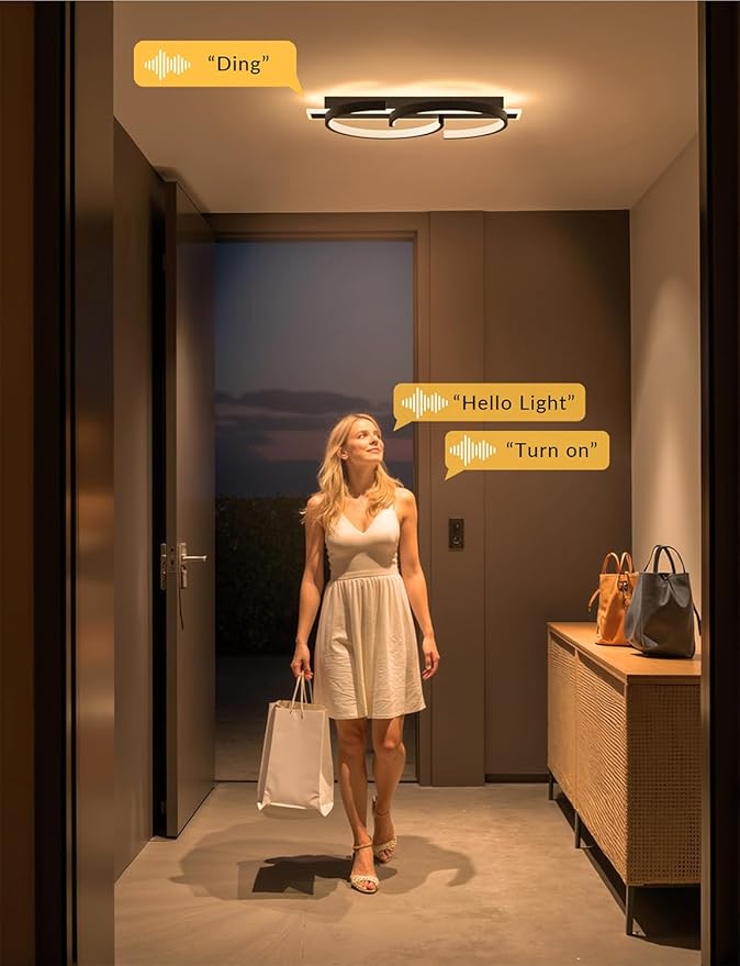 Modern Ceiling Light 19.68in 2 Rings Black Voice Control Bedroom Lights for Ceiling 3000-6000K LED Ceiling Light Fixtures Flush Mount Ceiling Lamps for Living Room Study Kitchen 45W