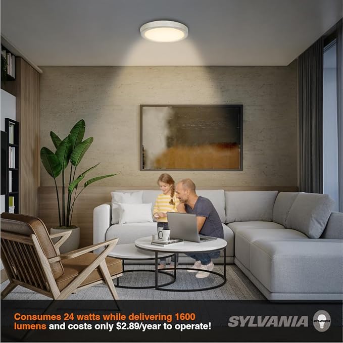 Sylvania 12" LED Flush Mount Ceiling Light Fixture, 24W, 1600 LMS, Hardwired, 3000K, Warm White, Brushed Nickel, LED Lights for Bedroom Kitchen Hallway Porch - 1 Pack (66461)