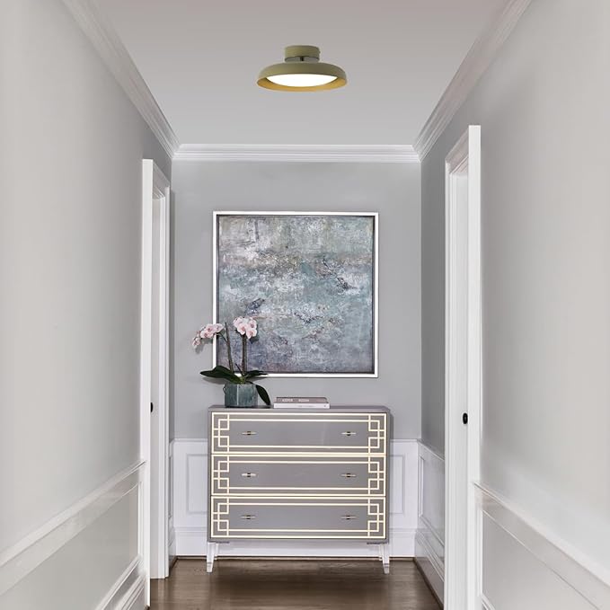 BISAMIYA Modern LED 12.6 inch Ceiling Light, Adjustable Semi Flush Mount Ceiling Light Fixture, Brass Accent, for Hallway, Kitchen, Entryway, 18W 3000K Warm White