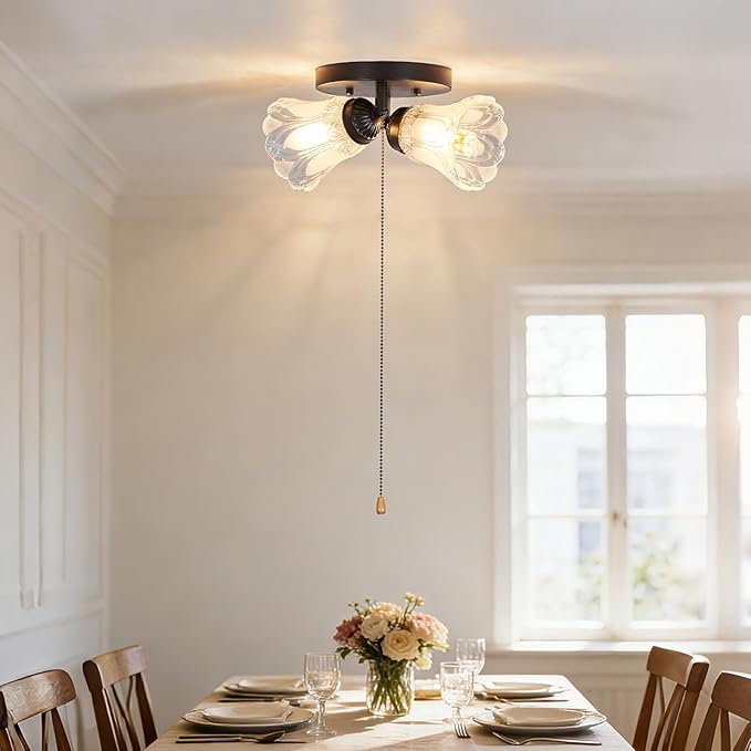 2-Light Flush Mount Ceiling Light with Pull Chain Clear and Frosted Glass Low Profile Lighting Fixtures for Kitchen Living Room Dining Room Closet, Black