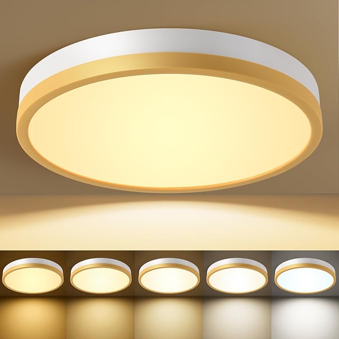 12 Inch 5CCT Thick Metal LED Flush Mount Ceiling Light, White Gold Ceiling Light Fixtures, 24W Dimmable Modern Close to Ceiling Lamps for Kitchen Dining Room Hallway Bedroom Entrance