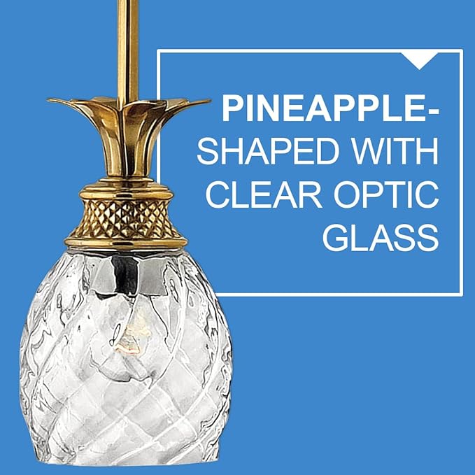 Hinkley Plantation One Light Pendant, Pineapple Motif, Clear Optic Glass Shade, Burnished Brass