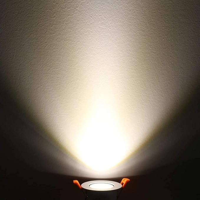 LightingWill 2inch LED Dimmable Downlight, 3W COB Recessed Ceiling Light, Natural White 4000K-4500K, CRI80, 25W Halogen Bulbs Equivalent, Silver (10Pack)