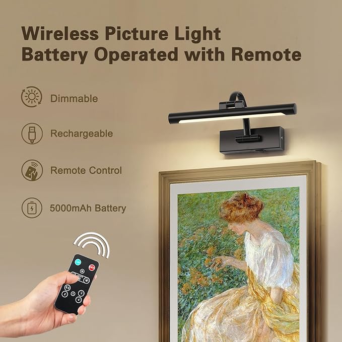 DESOOP Battery Operated Picture Lights for Wall Black Art Light Wireless Gallery Lights with Timer and Remote 12 Inch 2W Warm White