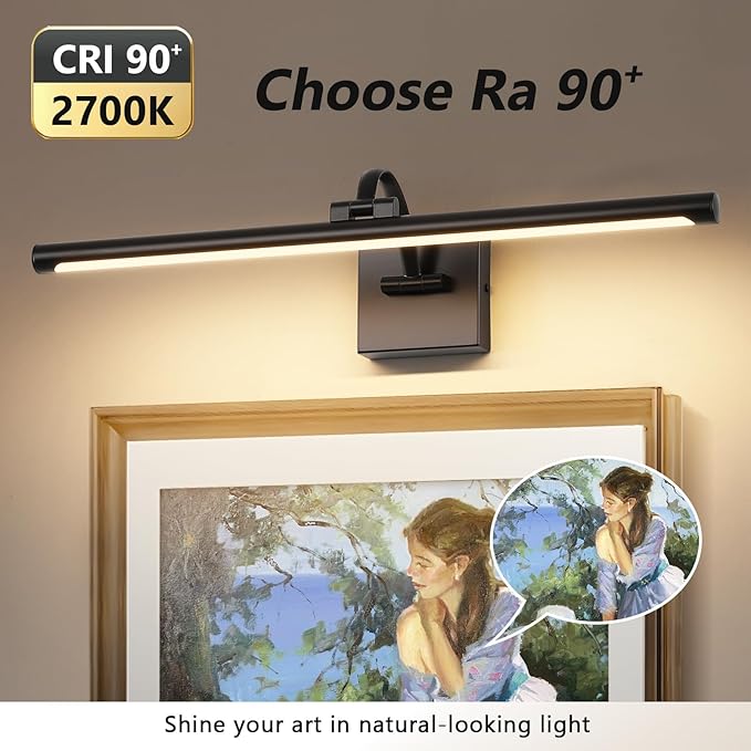 DESOOP Black Picture Lights for Wall Hardwired LED Picture Lighting Dimmable Gallery Light Art Light for Wall Portrait Artwork 23.62 inch 14W Warm White