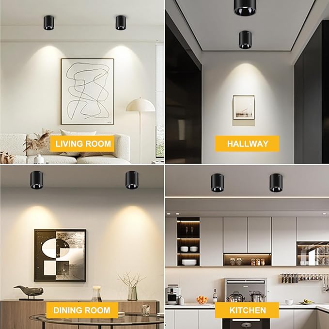 Ceiling Spot Lights Indoor 5-Color Dimmable Flush Mount Black Cylinder Down Light Modern LED Ceiling Light for Living Room Hallway Kitchen Dining Room Foyer