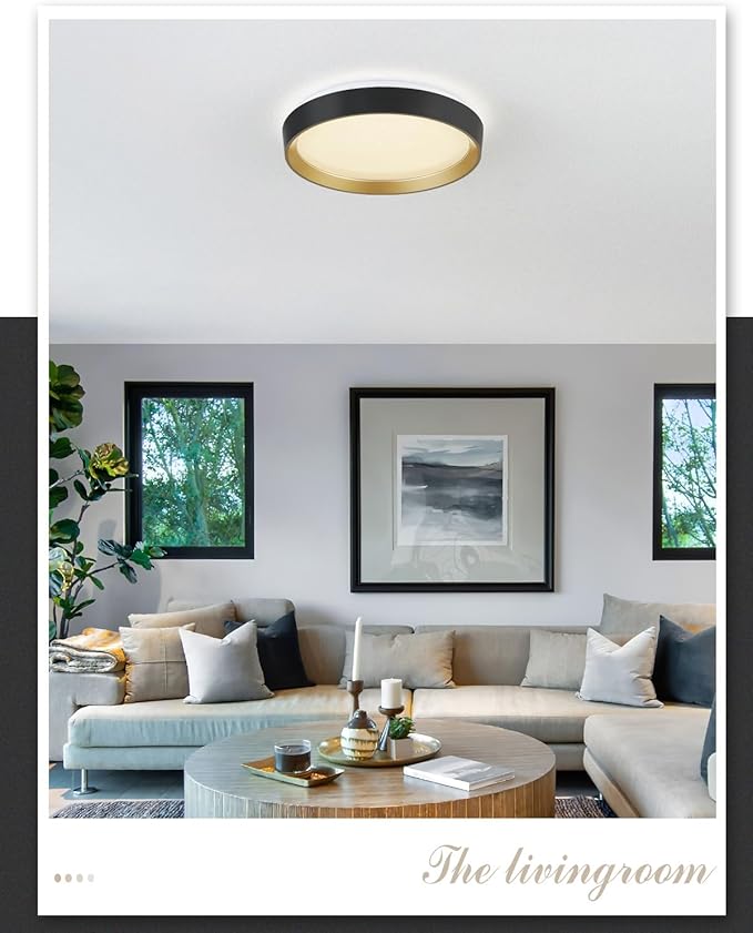 ANYLOVE 10 Inch Modern Flush Mount Ceiling Lights,White Gold Plastic Round Ceiling Light,Dimmable 3000K,3500K,4000K,5000K,6000K,for Living Room,Dining Room,Bedroom,Kitchen (Black and Gold, 15 Inch)