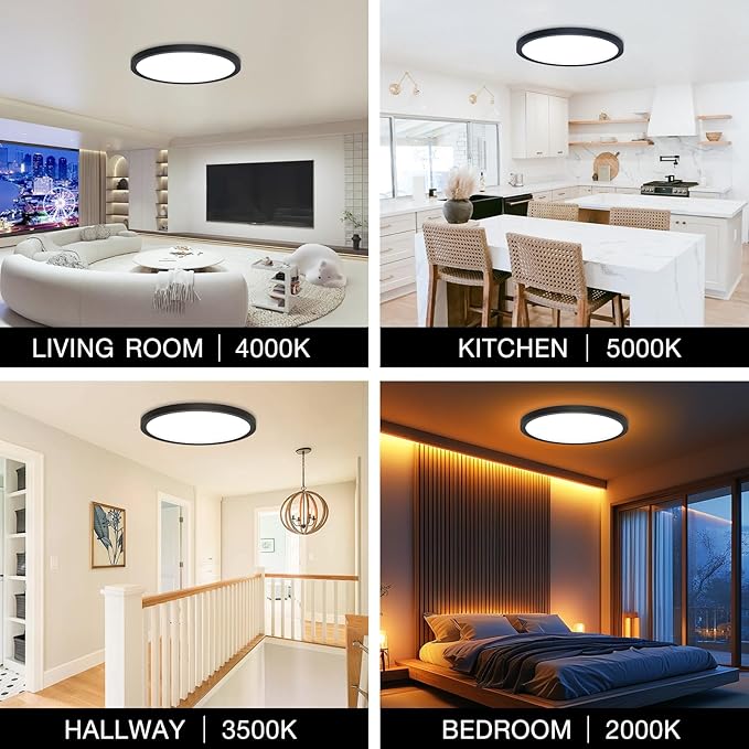 2Pack Dimmable LED Flush Mount Ceiling Light Fixture with Remote Control, 24W 2400LM, 12Inch, 2000K Warm Night Light & 3000K-6500K, Modern Super Slim Ceiling Lamp for Bedroom Kitchen, Black