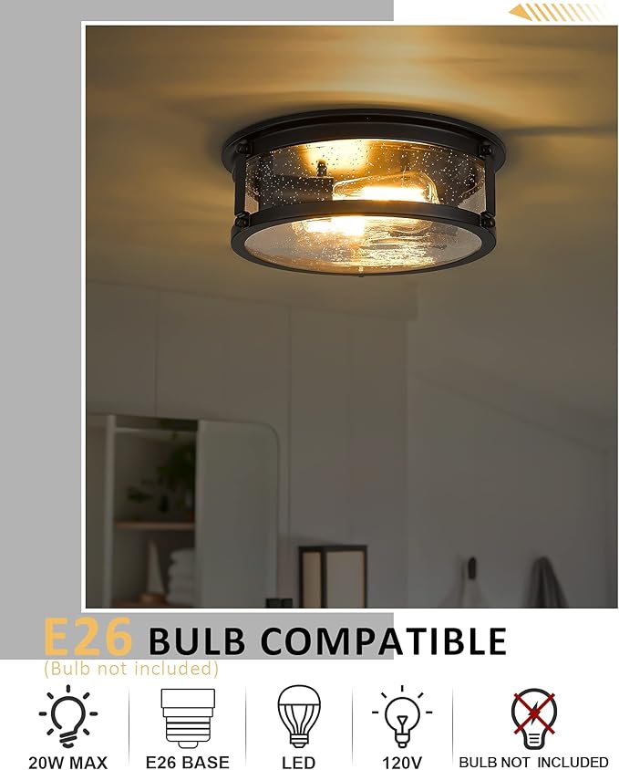 2-Light Flush Mount Light Fixtures,12inch Vintage Industrial Light Fixtures Ceiling Mount with Metal Cage for for Hallway Corridor Kitchen Bathroom Bedroom Passway - Black 2PK