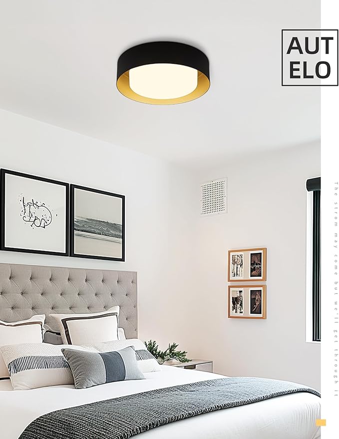 AUTELO Flush Mount Ceiling Light, 14" Frosted Glass Shade Close to Ceiling Light Fixture in Black Finish E26 Socket for Living Room Hallway Bedroom C3336XS BK