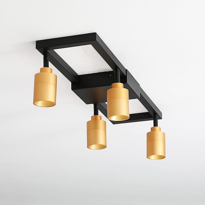 Shura - Square 4-Light Black and Brass Integrated LED Ceiling Light w/Rotatable Heads, Adjustable Flush Mount Ceiling Light, 3000K, 1820 Lumens