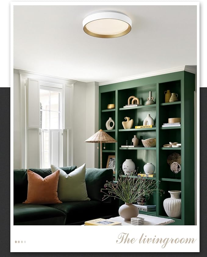 ANYLOVE 10 Inch Modern Flush Mount Ceiling Lights,White Gold Plastic Round Ceiling Light,Dimmable 3000K,3500K,4000K,5000K,6000K,for Living Room,Dining Room,Bedroom,Kitchen (White and Gold, 15 Inch)