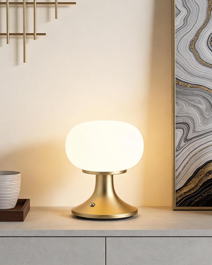 Cordless Table Lamp, LED Mushroom Lamp with Glass Shade & Stepless Dimming, Touch Control Nightstand Lamp for Bedroom,Living Room,Dining Table