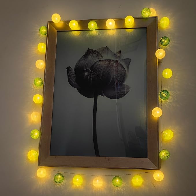 Gardeningwill 3M/10Ft 30 Green White Ball LED Battery Operated String Fairy Light