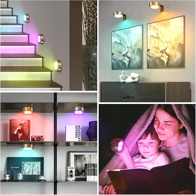 2-Pack Picture Light Battery Operated Painting Lights, 13 Color RGB Magnetic LED Display Art Light with Remote, Dimmable and Timer Portrait Light for Art Frame Artworking, Wall Decor Puck Light, Gold