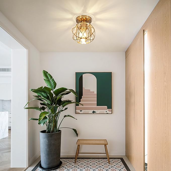 Hallway Light Fixtures Ceiling,Semi Flush Mount Ceiling Light Fixtures Gold Metal Cage Indoor Modern Ceiling Lights for Bedroom Room Hallway Bathroom Entryway Kitchen