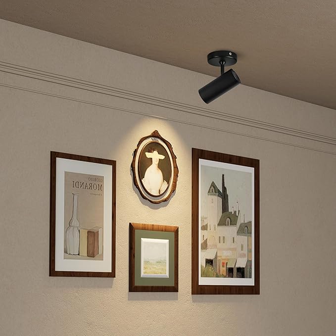 Aisilan 2 Pack LED Modern Directional Dimmable Spot Light Indoor, Adjustable Angle Wired Ceiling Spotlight Lamp for Living Room, Painting, Artwork Accent Lighting - Warm Light 3000K, 9W, CRI 97