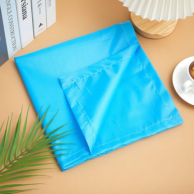 Hortsun 12 Pcs Fluorescent Light Covers 2 x 4 ft Classroom Ceiling Light Cover Magnetic Filters Fluorescent Diffuser Covering for Classroom Office Hospital Drop Ceiling(Blue)