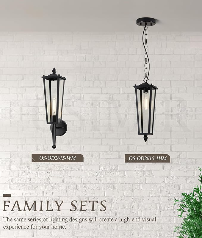 Outdoor Pendant Lights for Porch, 16" Black Outdoor Pendant Light with Clear Glass, Modern Hanging Porch Lighting Fixtures with Adjustable Chain for Gazebo Foyer, OS-OD2615-1HM