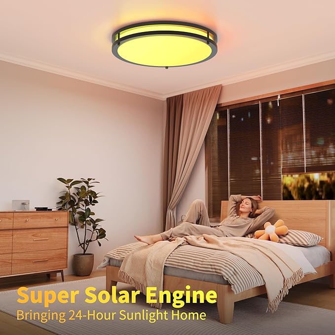 Kalium Ceiling Lights Flush Mount with Remote: LED Black Ceiling Lighting 8 Modes Dimmable Color, Adjustable Temperature for Bedroom, Living Room, Kitchen (16 Inch)