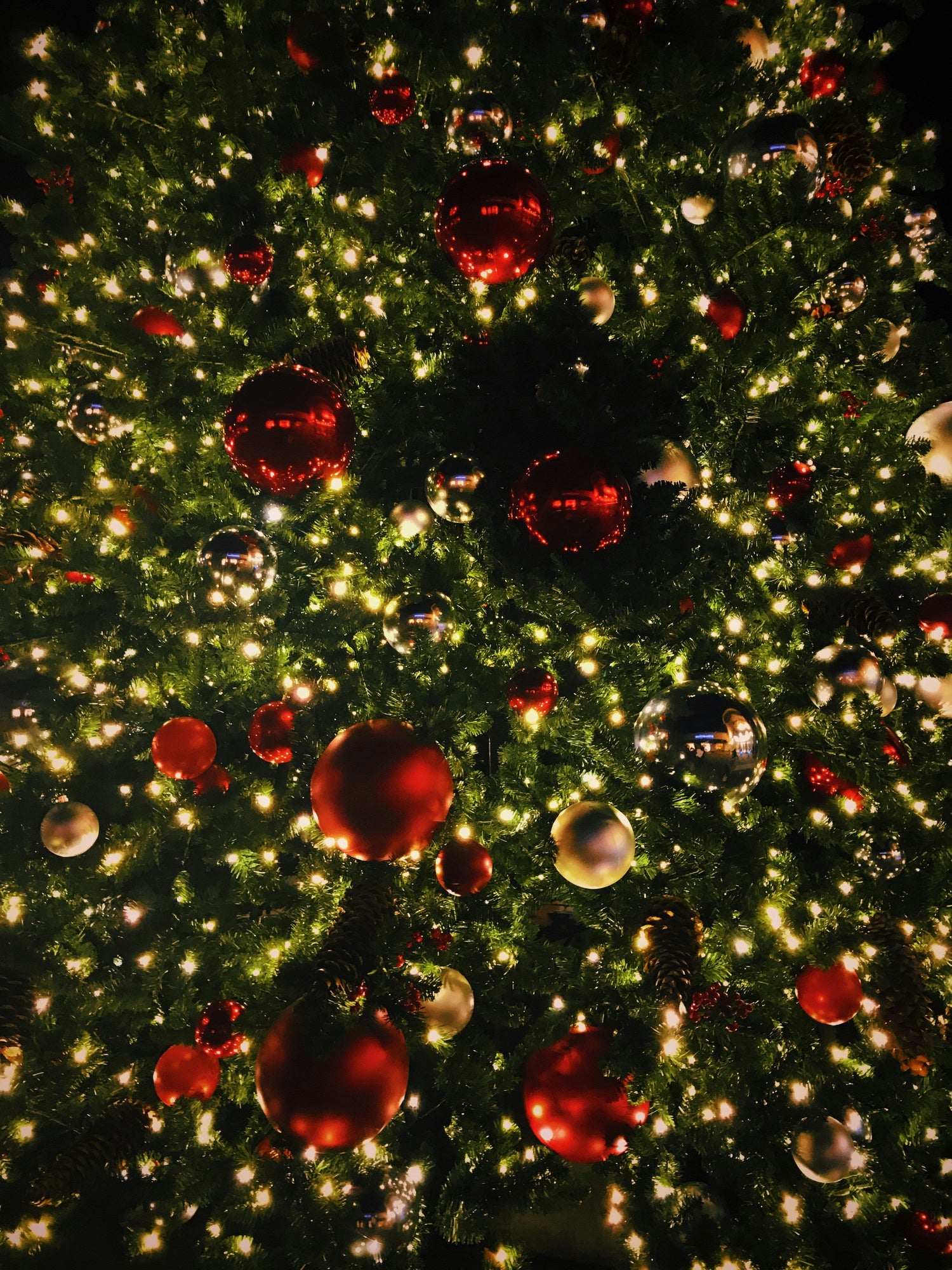 String Lights