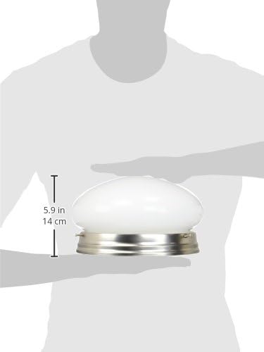 Designers Fountain 9 in 2-Light Flush Mount Ceiling Light with Frosted Glass Shade, Pewter, 4732-PW