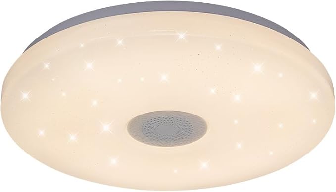 HANTANG RGB Ceiling Light with BT Speaker, 42W 14Inch Smart Music Lights Colorful Dimmable with APP and Remote Control, Color Changing Led Light Fixture Flush Mount for Bathroom Shower Bedroom