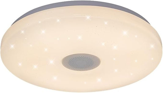 HANTANG RGB Ceiling Light with BT Speaker, 42W 14Inch Smart Music Lights Colorful Dimmable with APP and Remote Control, Color Changing Led Light Fixture Flush Mount for Bathroom Shower Bedroom