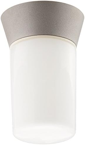 Nuvo Lighting SF77/139 Transitional One Light Outdoor Wall Mount in Pwt, Nckl, B/S, Slvr. finish