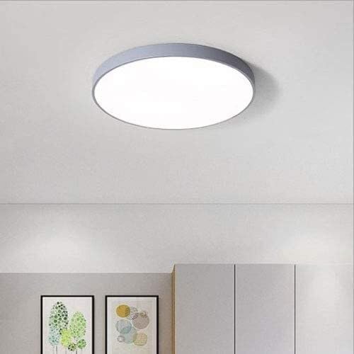 LED Flush Mount Ceiling Light Fixture Modern Minimalist Round Interior Lamp 6000-6500K Cold White Lighting Ultra-Thin 1.9 Inches Slim Suitable for Bedroom Loft Storage(White,Small)