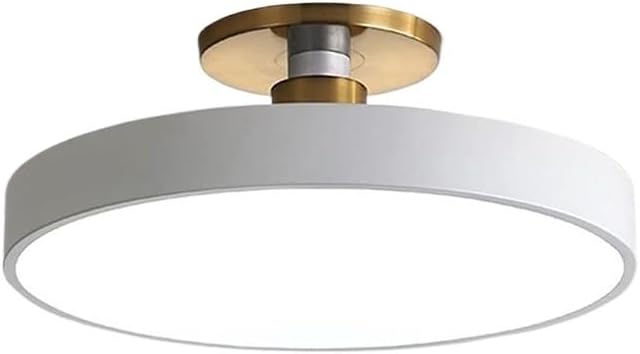 Minimalism Round LED Ceiling Light Modern Semi-Flush Mount Ceiling Lamp Close to Ceiling Light Fixture for Aisles Entrances Cloakroom Corridor Bedroom(Three-Color Light,50cm-White)