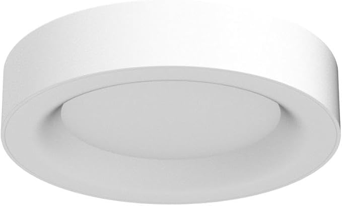 Annaror RGB Flush Mount Ceiling Light with Remote Control, 2400LM Dimmable Ceiling Light Fixture, 3000K-6500K Modern Low Profile Ceiling Lights for Bedroom Kids Room, 11in White
