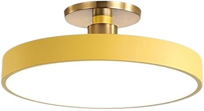 Minimalism Round LED Ceiling Light Modern Semi-Flush Mount Ceiling Lamp Close to Ceiling Light Fixture for Aisles Entrances Cloakroom Corridor Bedroom(Stepless Dimming,30cm-Yellow)