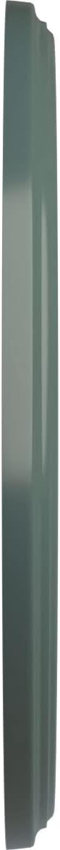 Ekena Millwork CM15BECBF 15 3/4"OD X 3 7/8"ID X 3/4"P Berkshire Ceiling Medallion Fits Canopies Up to 7", Cloud Burst
