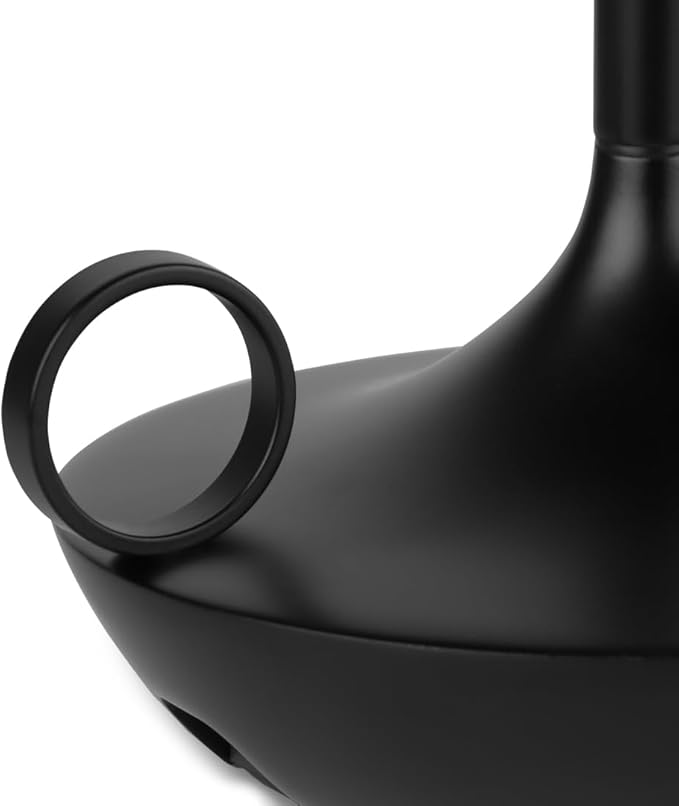 Graypants Wick Portable LED Lamp in Black, Classic