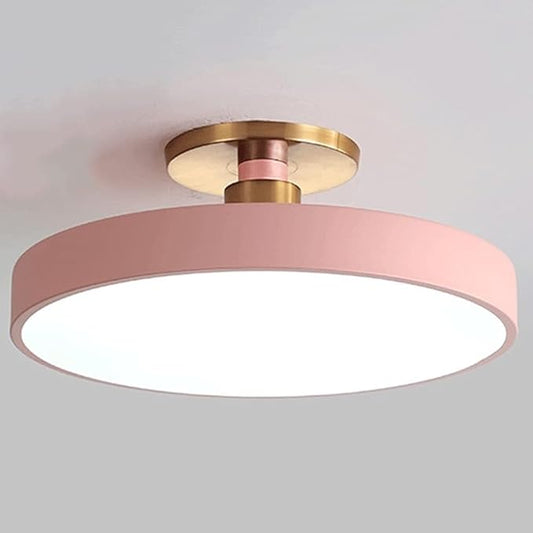 Flush Mount Ceiling Lamp LED Adjustable Tri-Color Light Ceiling Light Round Aisle Loft Restaurant Ceiling Light Fixture for Living Room Bedroom Dining Room Kitchen Study Room Corridor Chandelie
