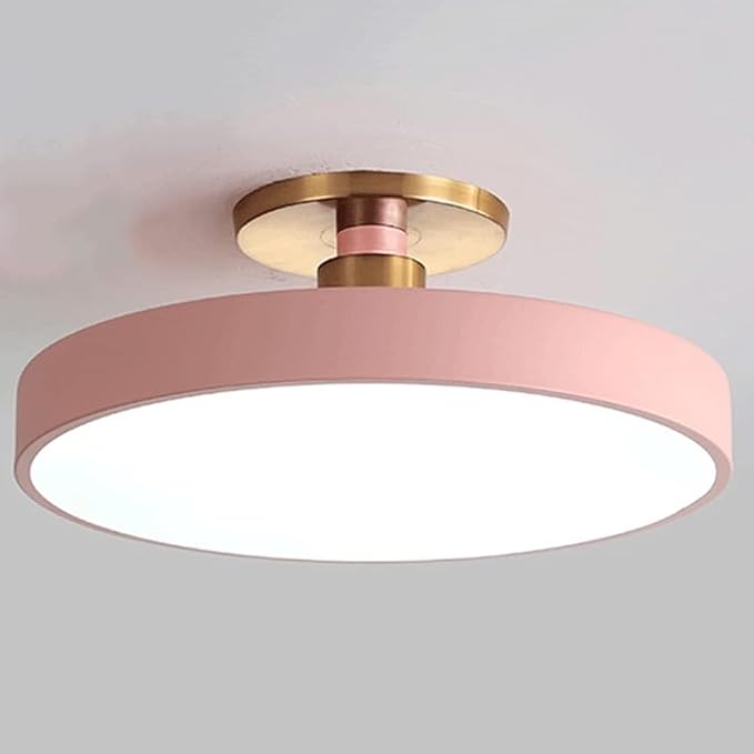 Flush Mount Ceiling Lamp LED Adjustable Tri-Color Light Ceiling Light Round Aisle Loft Restaurant Ceiling Light Fixture for Living Room Bedroom Dining Room Kitchen Study Room Corridor Chandelie