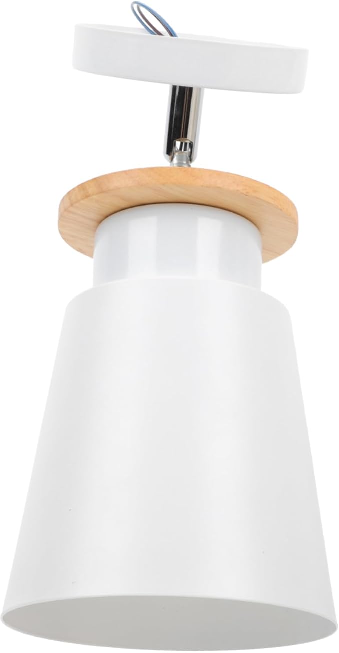 Homoyoyo Contemporary Nordic Style Ceiling Lamp Simple Design for Hallway Corridor Entryway and Living Room Lighting Easy to Install Chic and Practical Fixture