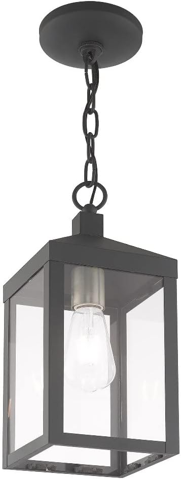 Livex Lighting 20591-80 Nyack - One Light Outdoor Hanging Lantern, Nordic Gray Finish with Clear Glass