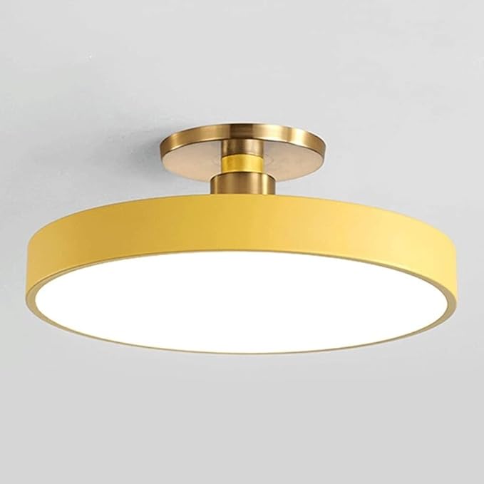 Flush Mount Ceiling Lamp LED Adjustable Tri-Color Light Ceiling Light Round Aisle Loft Restaurant Ceiling Light Fixture for Living Room Bedroom Dining Room Kitchen Study Room Corridor Chandelie