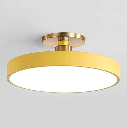Flush Mount Ceiling Lamp LED Adjustable Tri-Color Light Ceiling Light Round Aisle Loft Restaurant Ceiling Light Fixture for Living Room Bedroom Dining Room Kitchen Study Room Corridor Chandelie