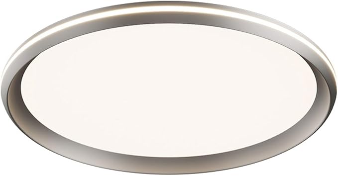 Modern Minimalist Ceiling Lamps Metal and Acrylic Flat Lighting Black and White Circular Ceiling Lights Suitable for Bedrooms and Study Rooms